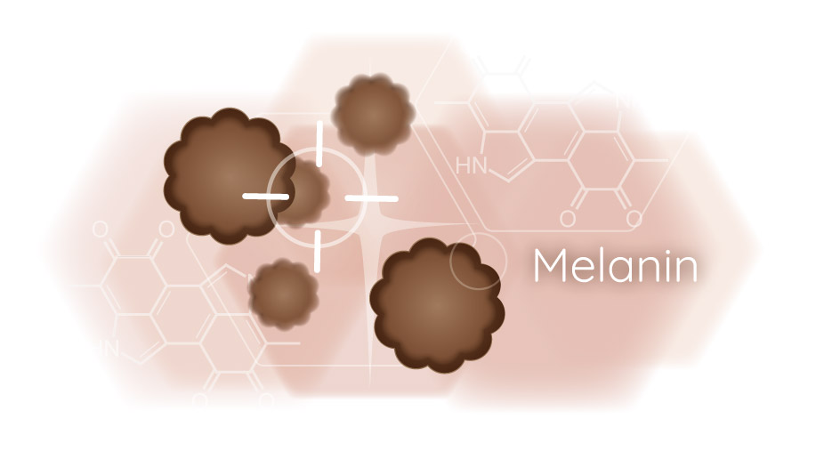 Grafik der Funktionsweise von Melanin