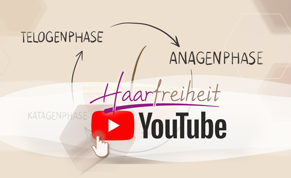 Youtube Video link Wachstumsphasen