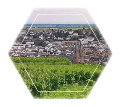 Stadtbild Standort Impression Neustadt